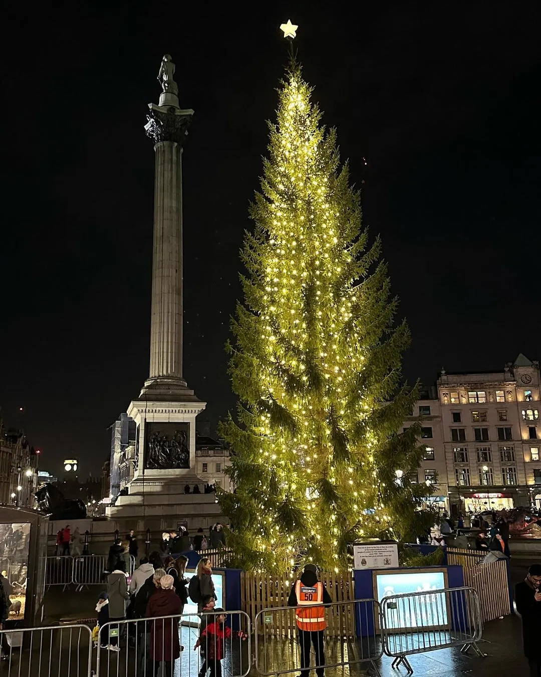 Ялинка в Лондоні Ялинка в Лондоні