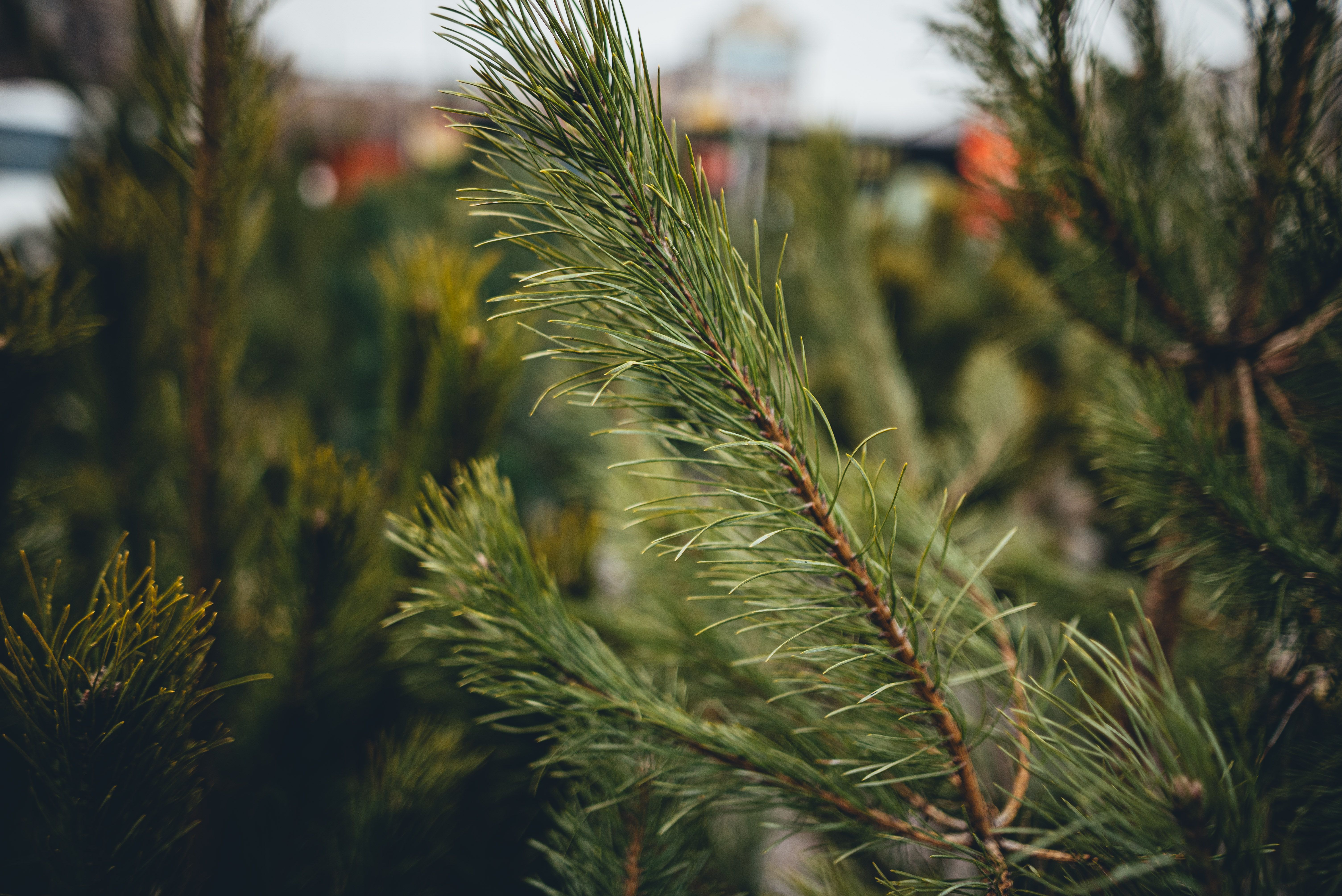 Погода - 24 Канал Погода - 24 Канал