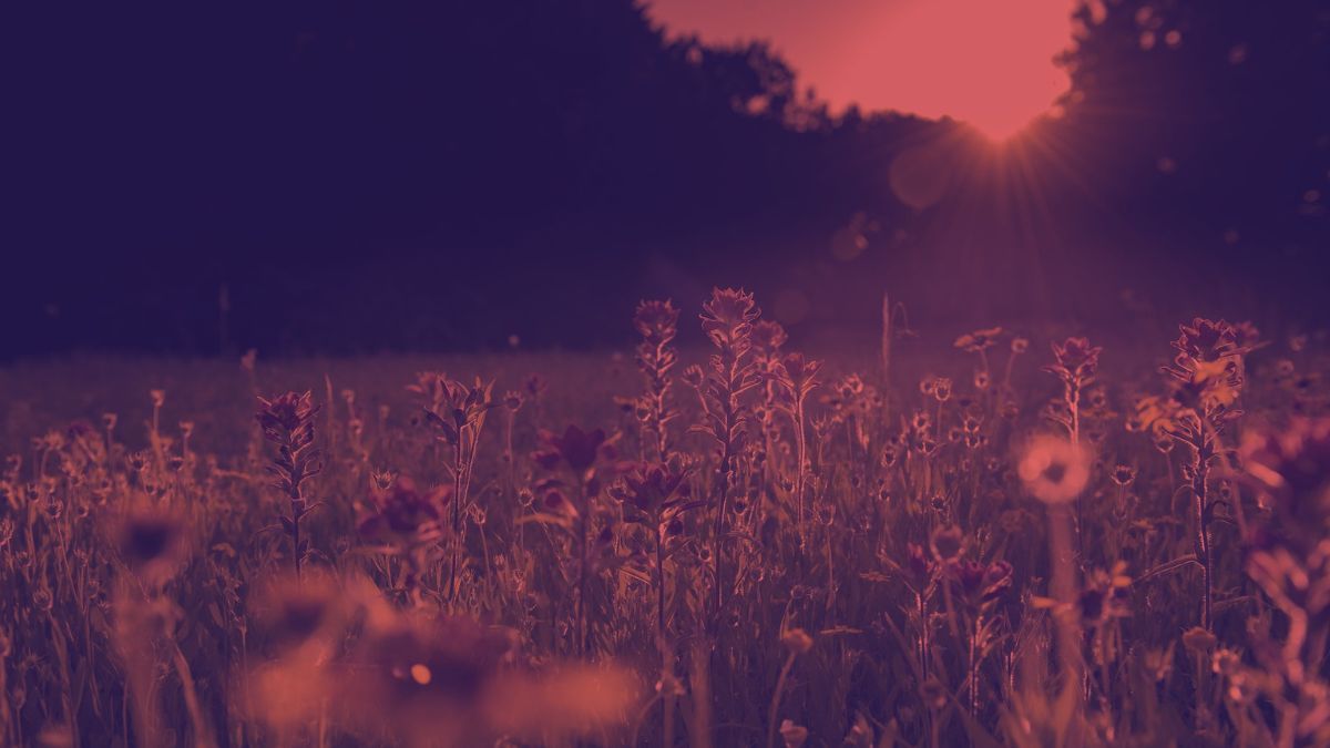 Ілюстративне фото Ілюстративне фото