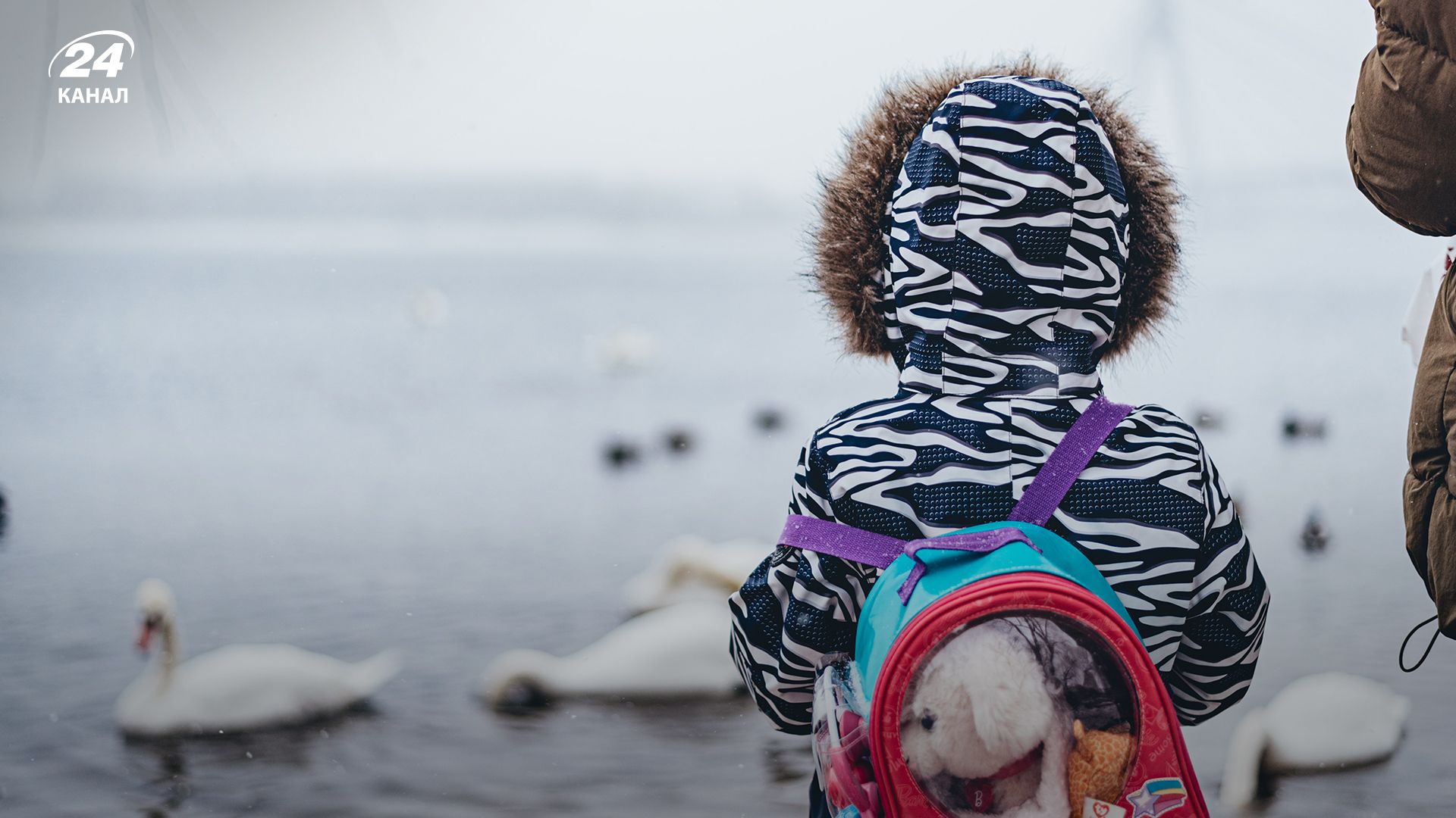 Погода зимой - 24 Канал Погода зимой - 24 Канал