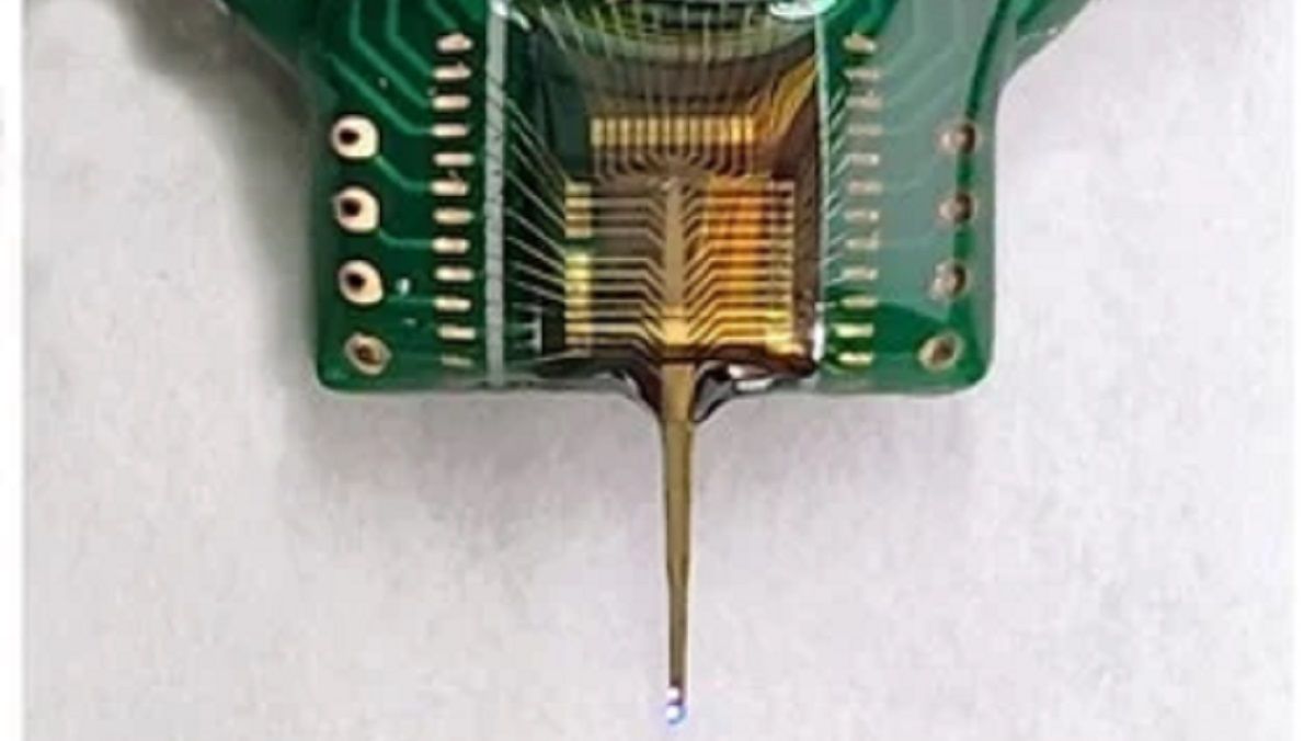 Оптогенетический зонд Оптогенетический зонд