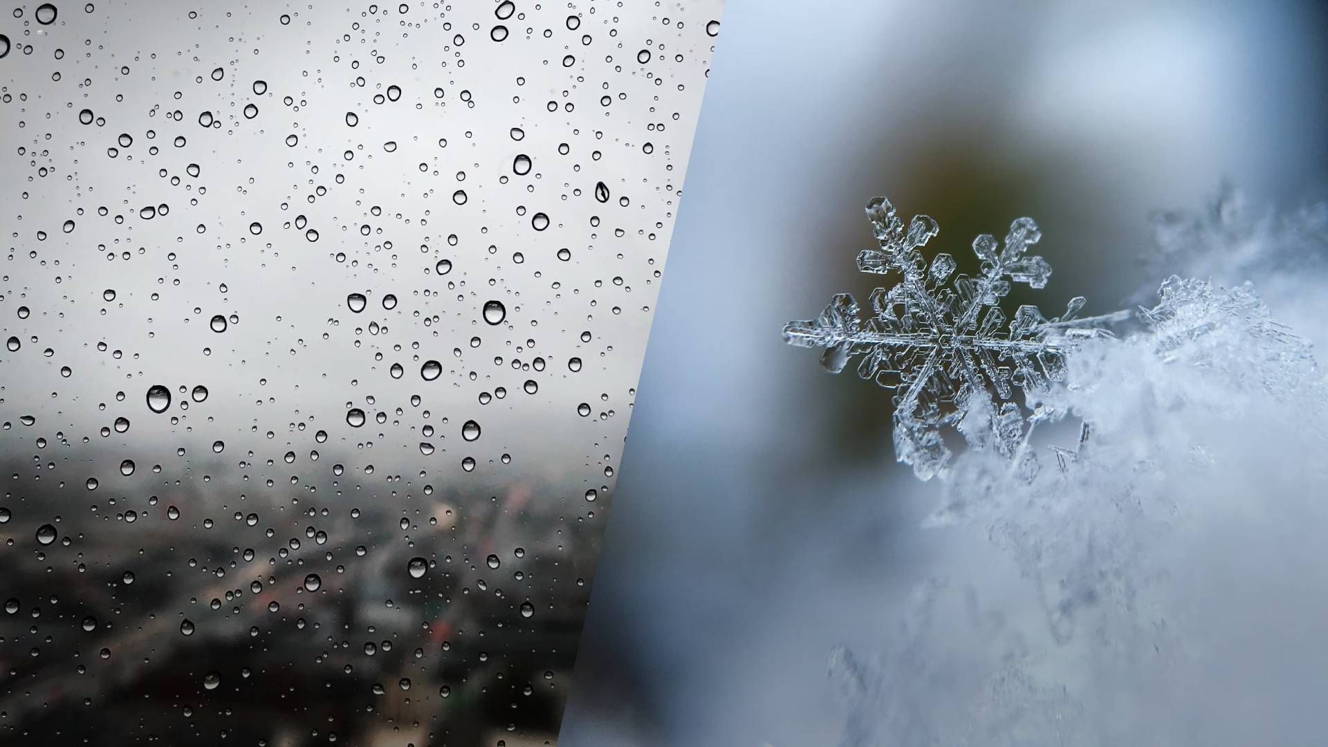 Какая будет погода 29 декабря Какая будет погода 29 декабря