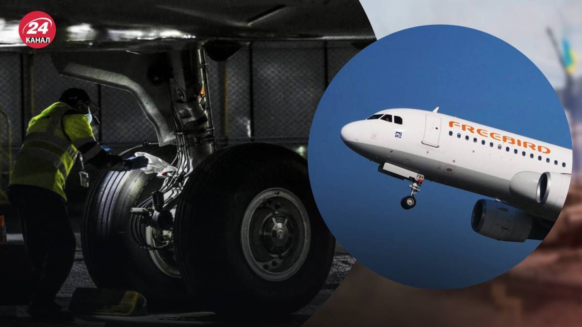 Мужчина попытался добраться до Франции в шасси самолета и оказался в больнице. Мужчина попытался добраться до Франции в шасси самолета и оказался в больнице.