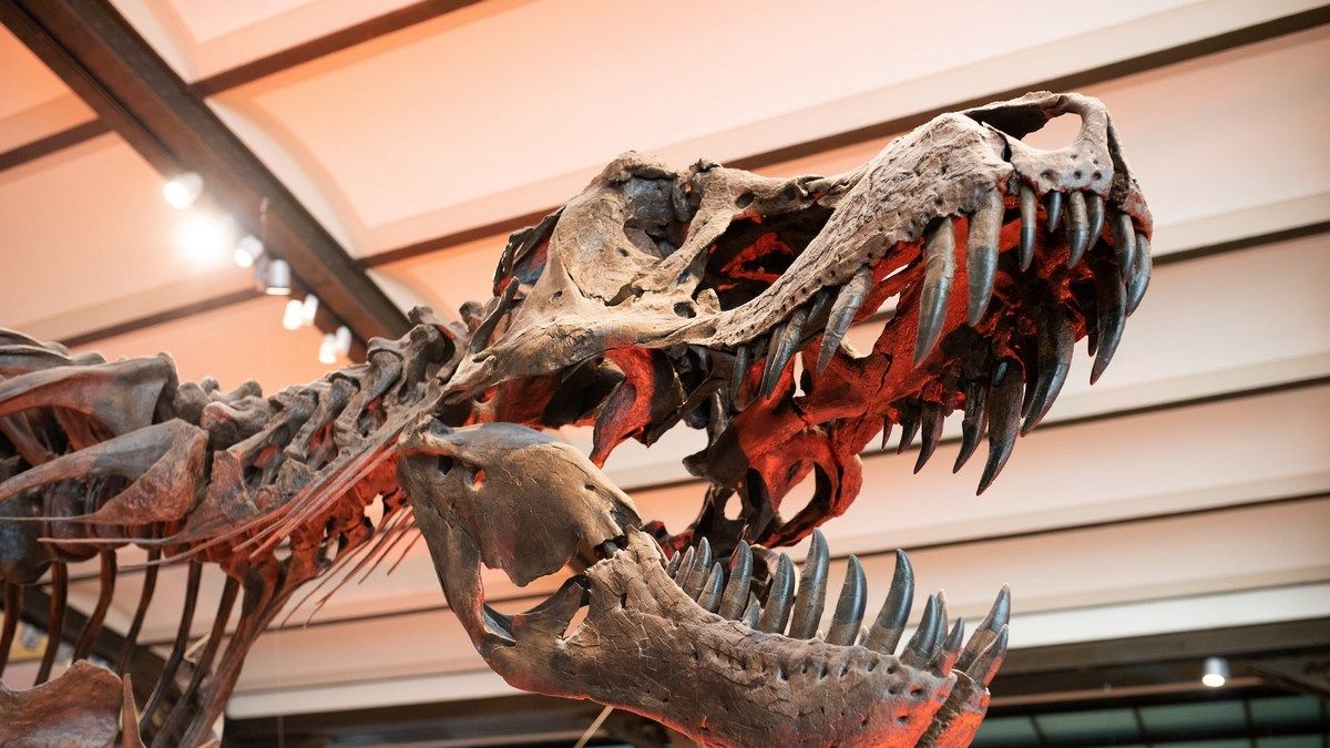 Бронтозаври повертаються до наукового світу після скасування назви сто років тому