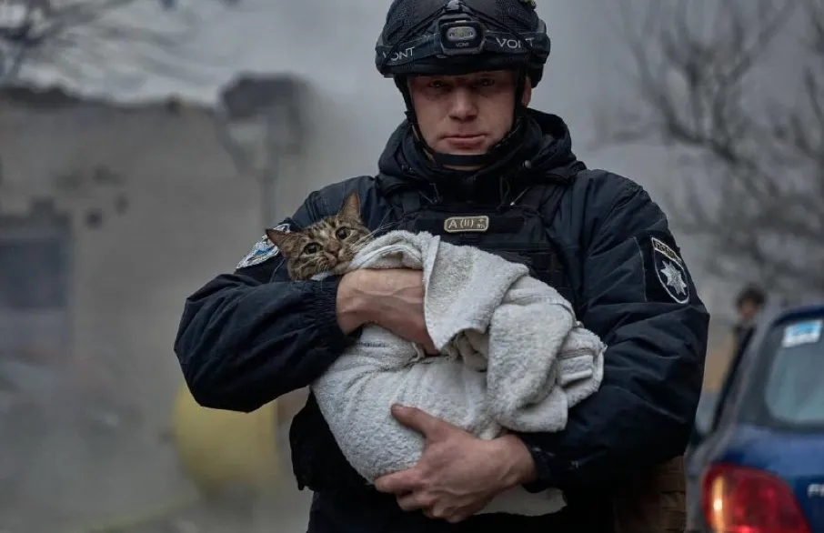 Полицейский спас котика