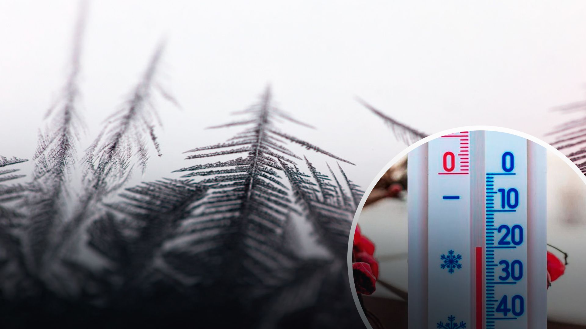 Мороз - 24 Канал Мороз - 24 Канал