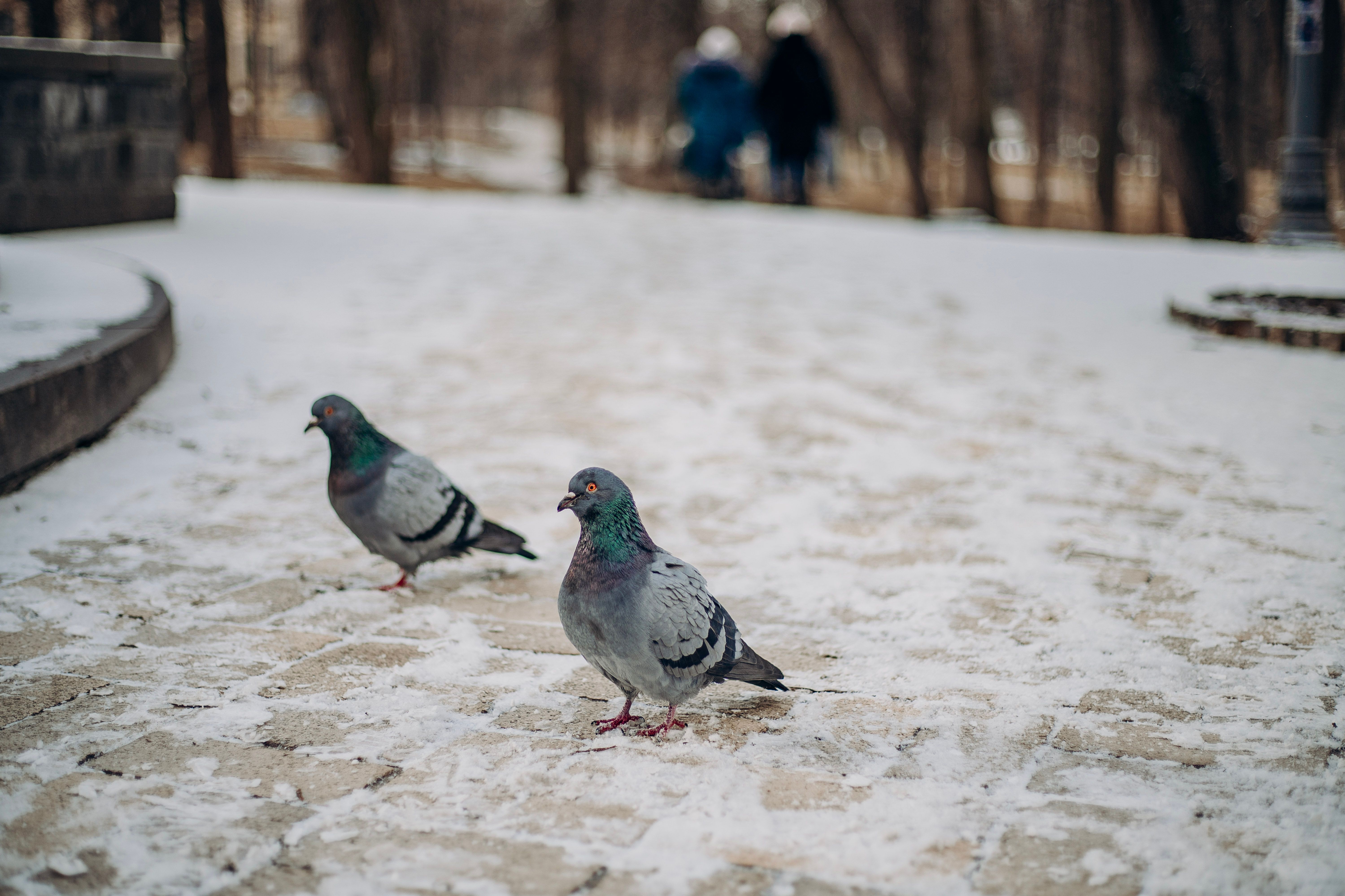 Погода 3 січня Погода 3 січня