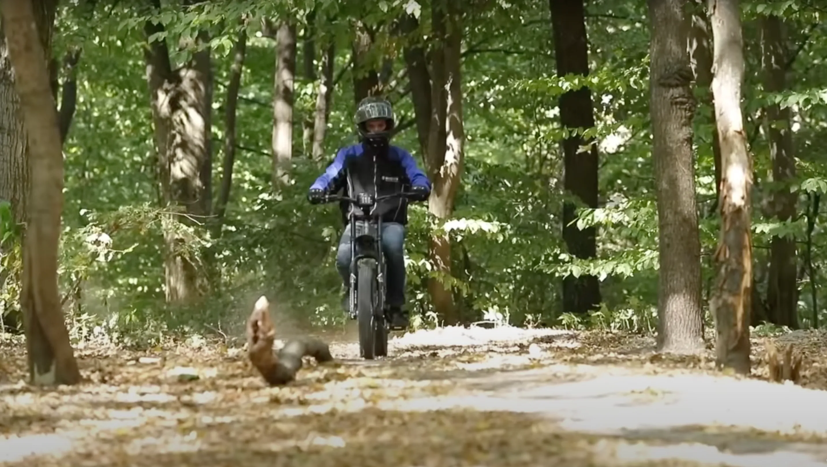 Розробку можна використовувати як велосипед Розробку можна використовувати як велосипед