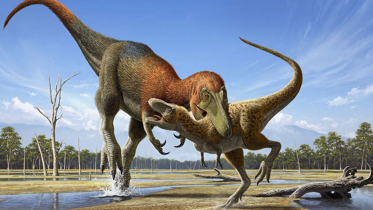 Деякі дитинчата тиранозаврів виявилися окремим дуже схожим видом