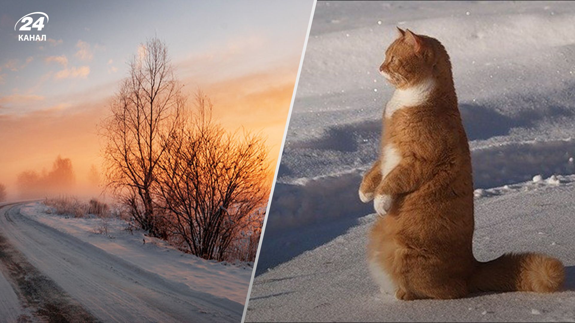 Прогноз погоди в Україні 9 січня Прогноз погоди в Україні 9 січня