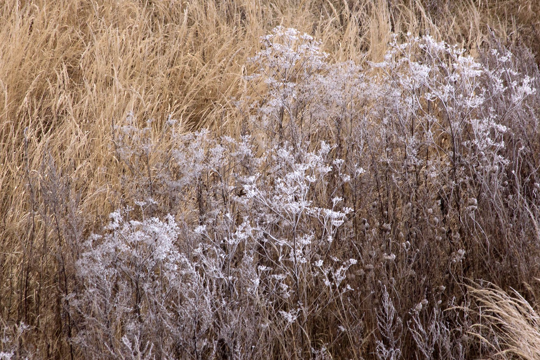 У середу 10 січня 2024 року в Україні буде досить холодно вночі У середу 10 січня 2024 року в Україні буде досить холодно вночі
