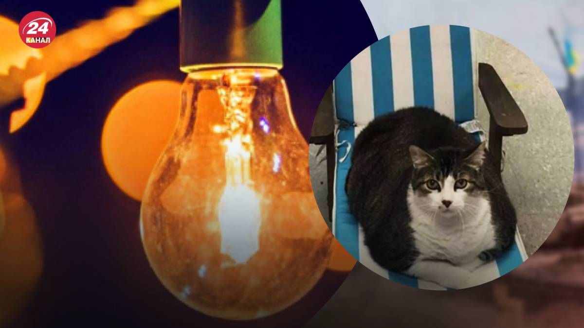 В Укрэнерго призывают граждан быть сознательными и экономно потреблять электроэнергию В Укрэнерго призывают граждан быть сознательными и экономно потреблять электроэнергию