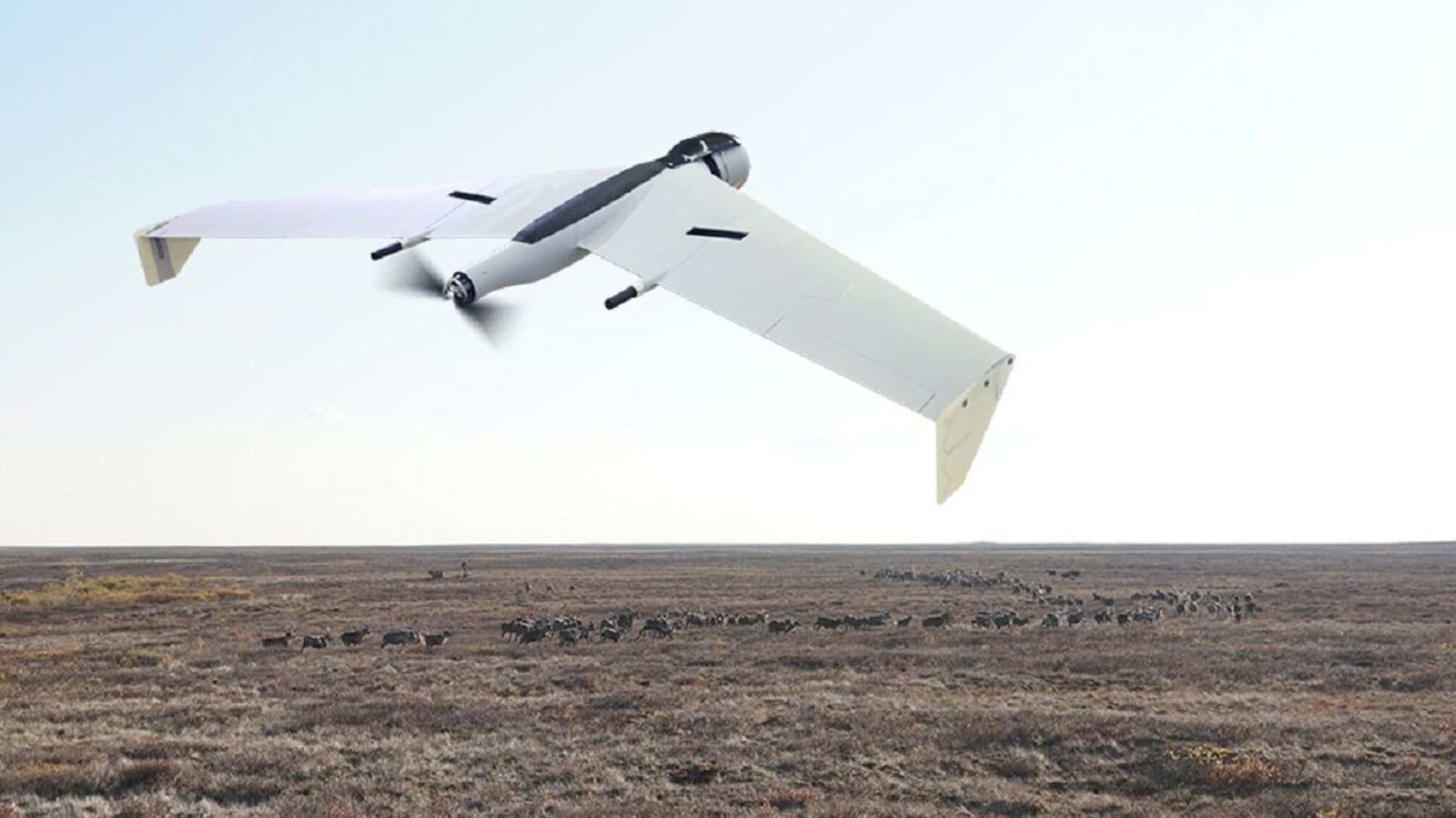 Иран разработал для России новый дрон - каковы его характеристики - 24 Канал Иран разработал для России новый дрон - каковы его характеристики - 24 Канал