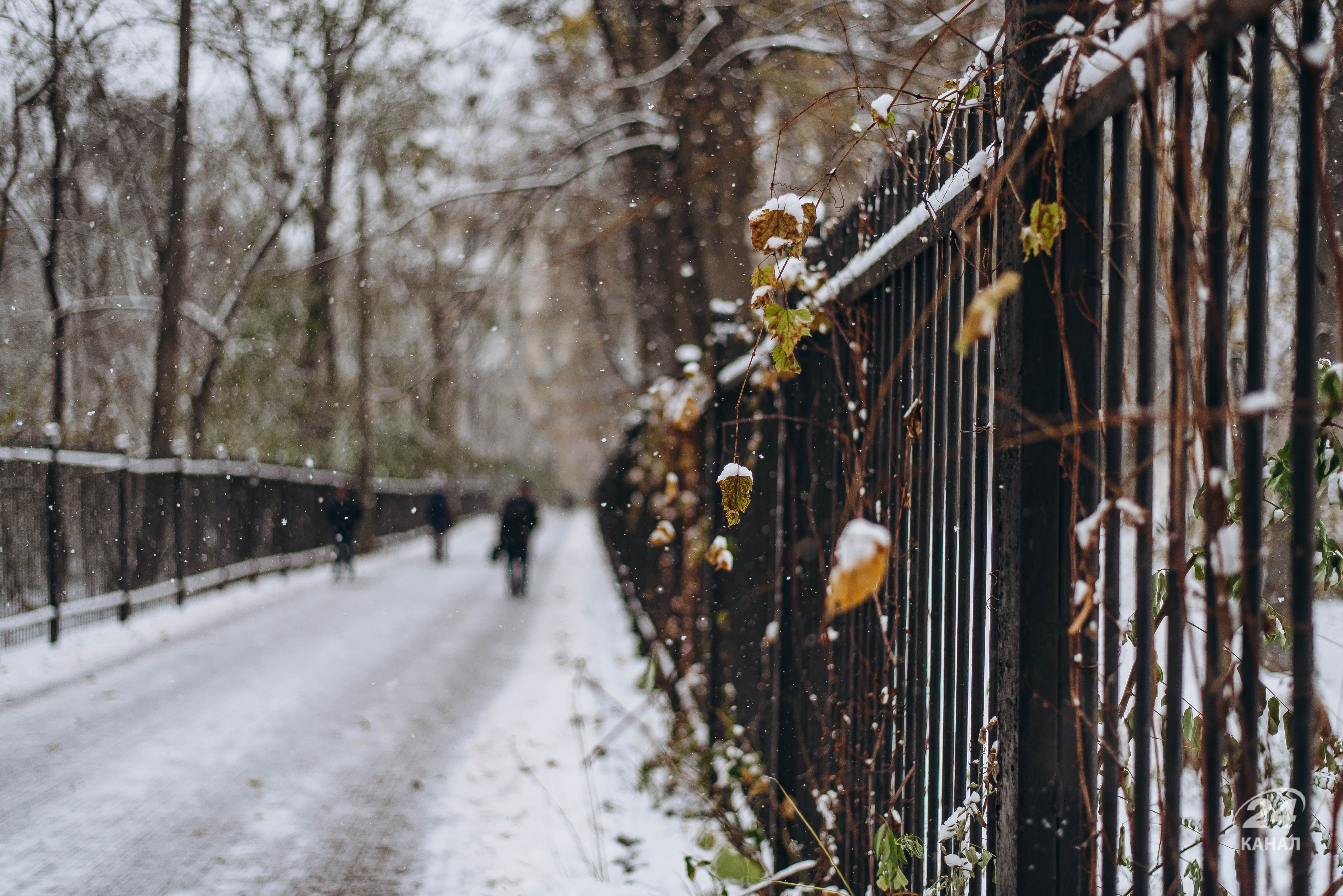 Прогноз погоди в Україні на 11 січня Прогноз погоди в Україні на 11 січня