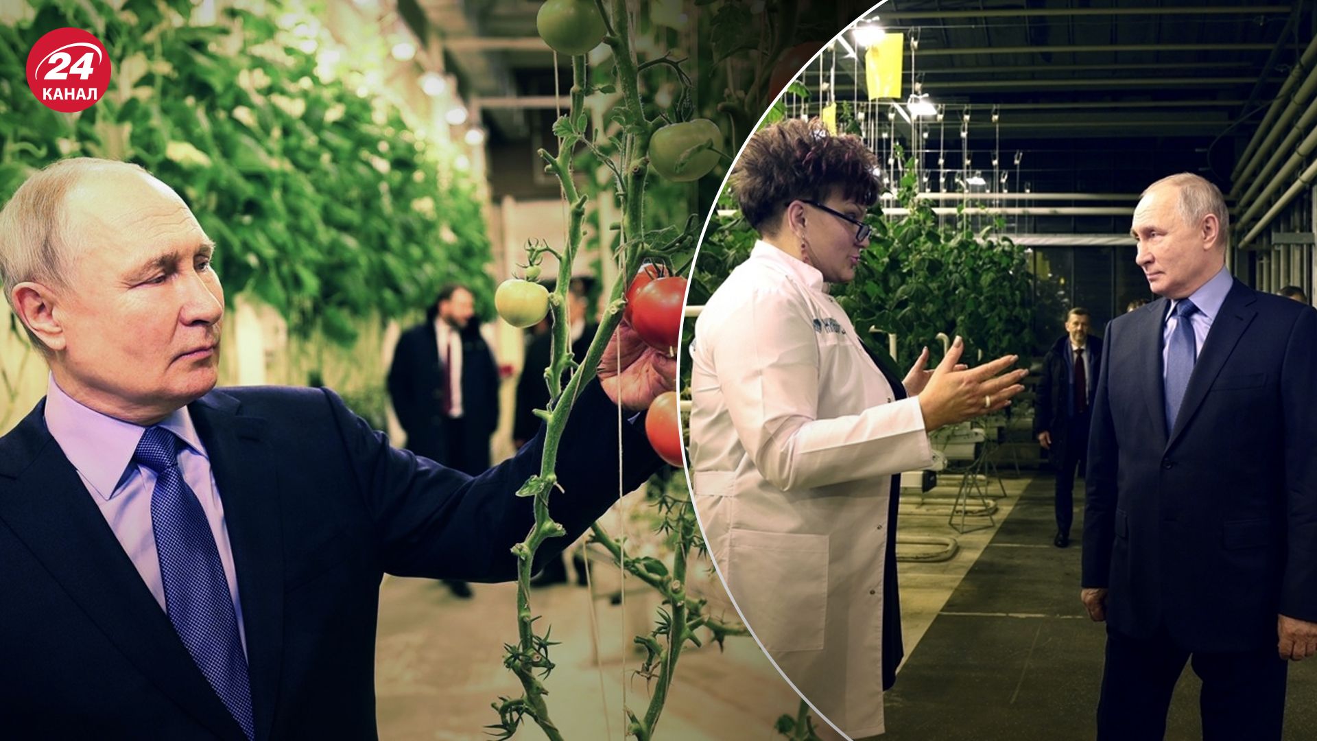 Путин в теплице на Чукотке Путин в теплице на Чукотке