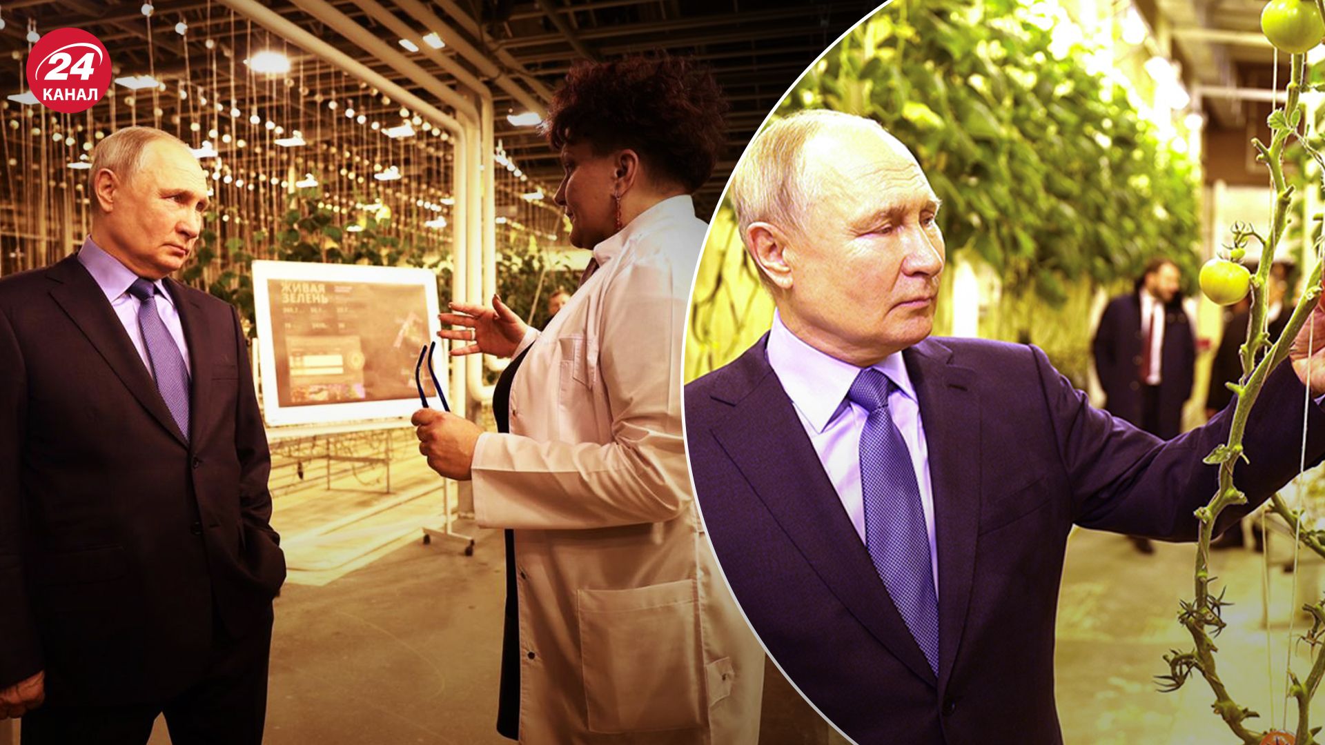 Зачем Путин поехал на Чукотку