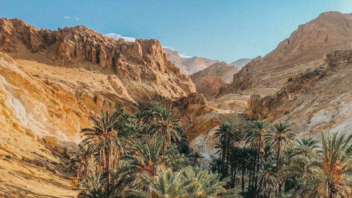 Гигантская древняя крепость найдена в оазисе Аравийской пустыни Гигантская древняя крепость найдена в оазисе Аравийской пустыни