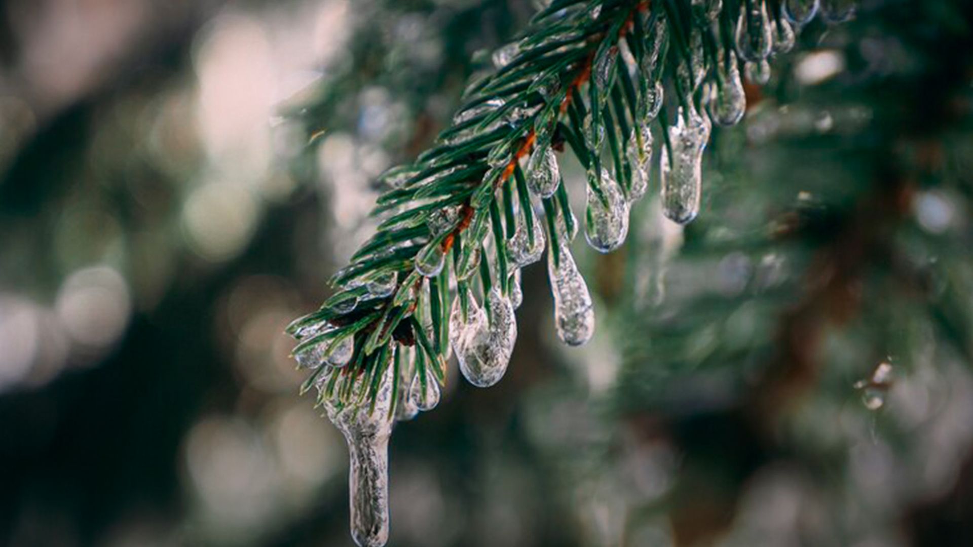 Когда будет потепление - 24 Канал Когда будет потепление - 24 Канал