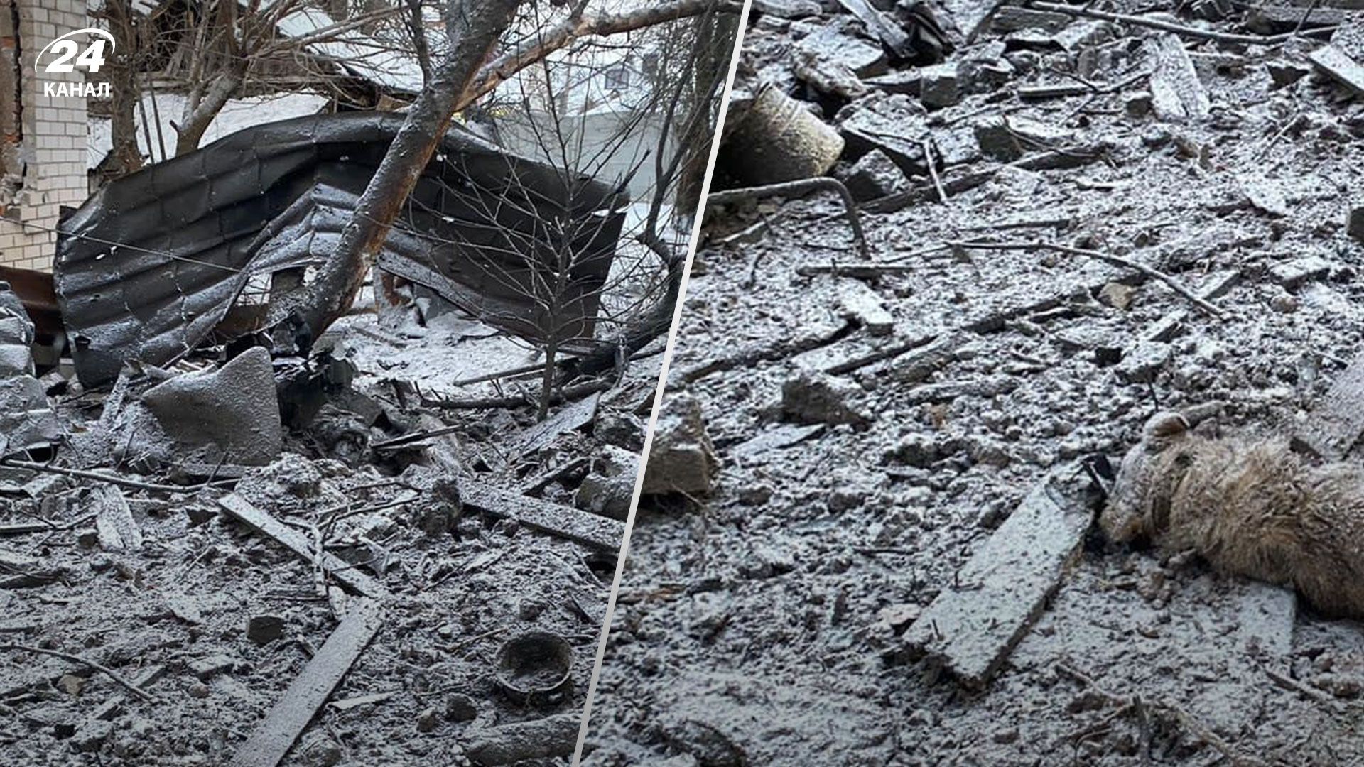 В результате попадания обломков ракеты в Чернигове погибла собака - 24 Канал