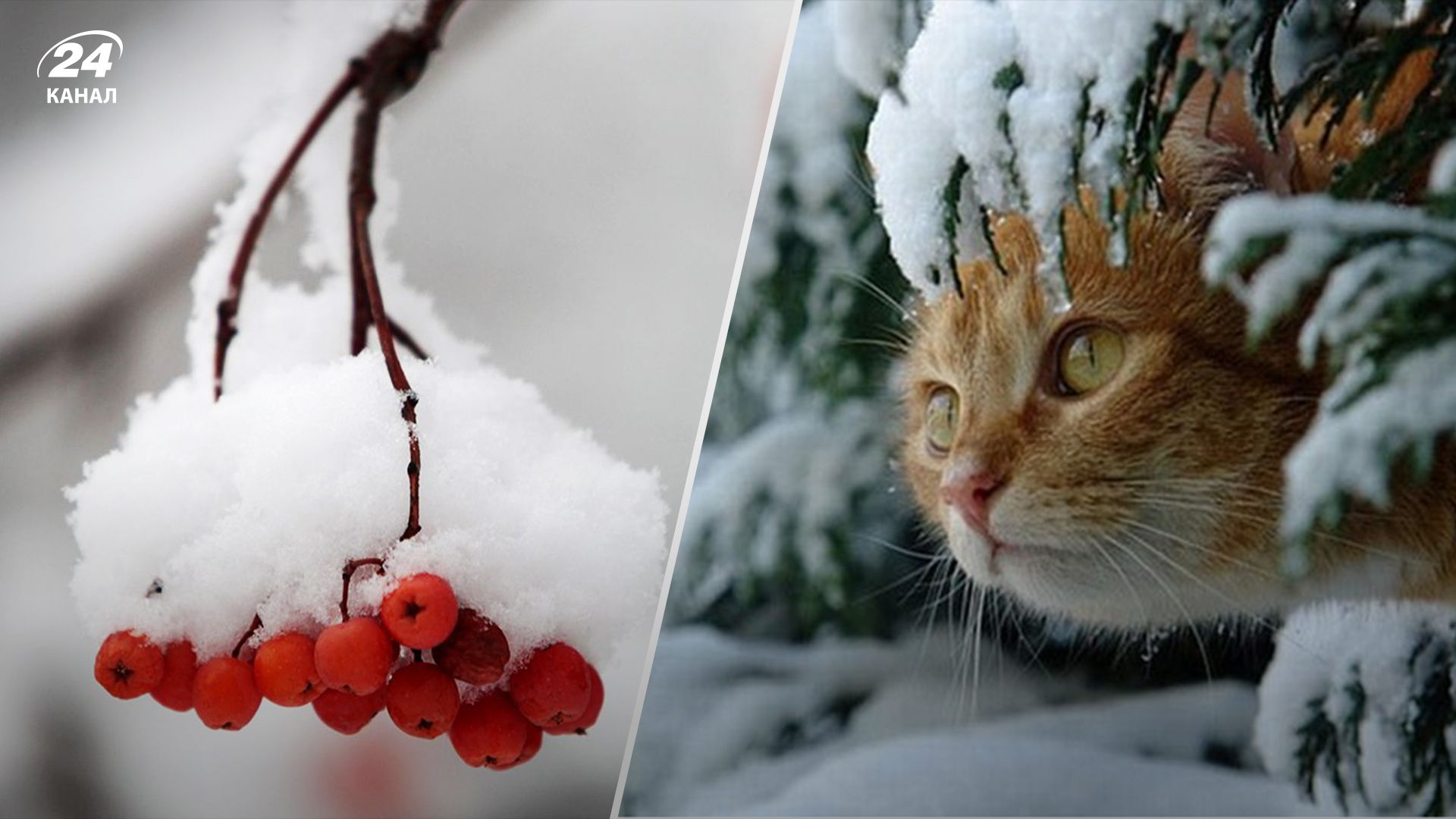 Прогноз погоды в Украине 15 января Прогноз погоды в Украине 15 января