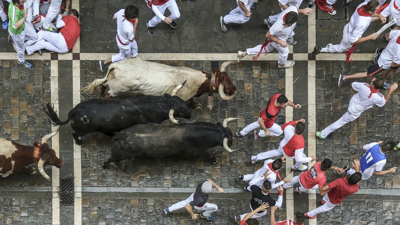 Забеги с быками в Испании