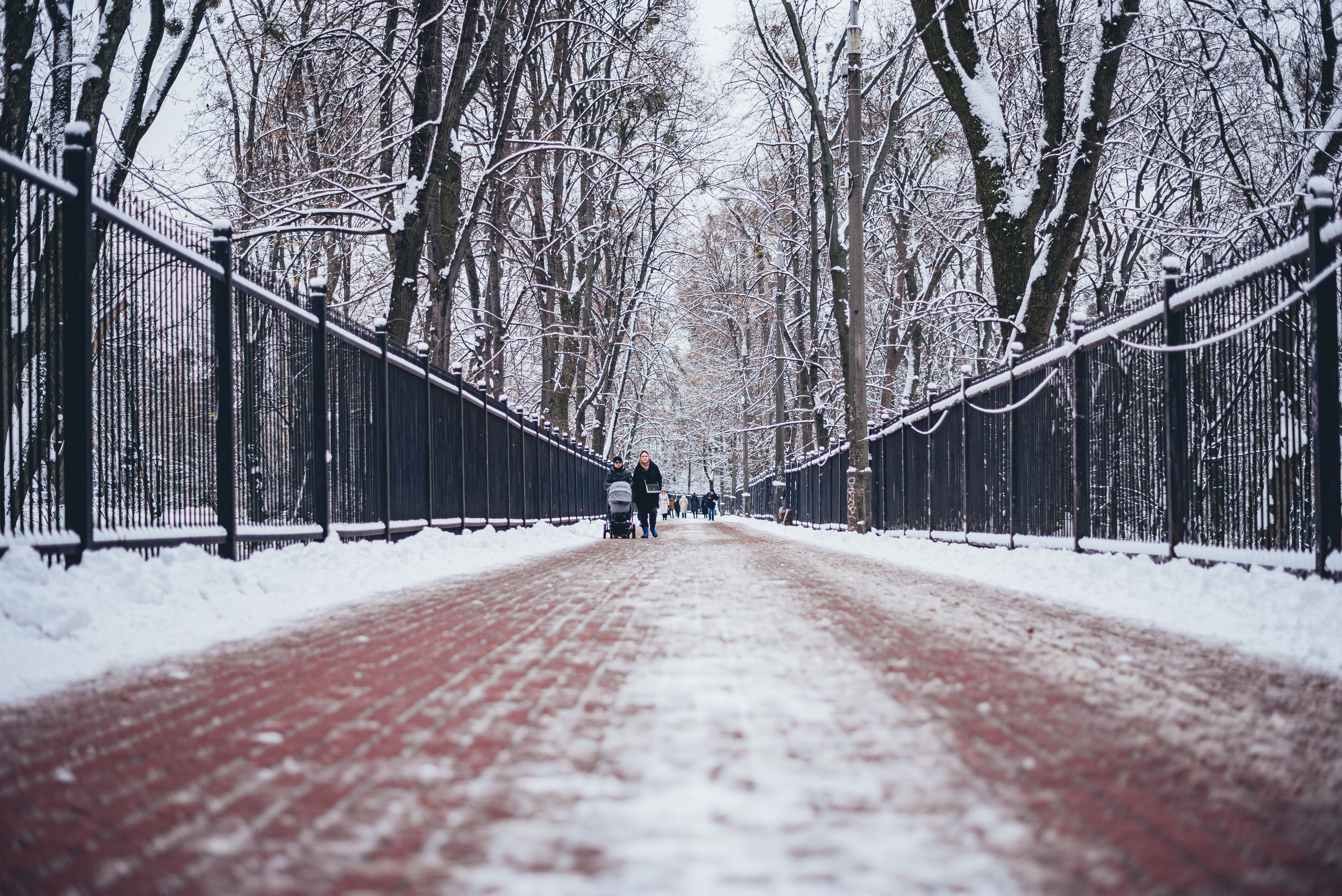 В Україні прогнозують небезпечне явище - 24 Канал В Україні прогнозують небезпечне явище - 24 Канал