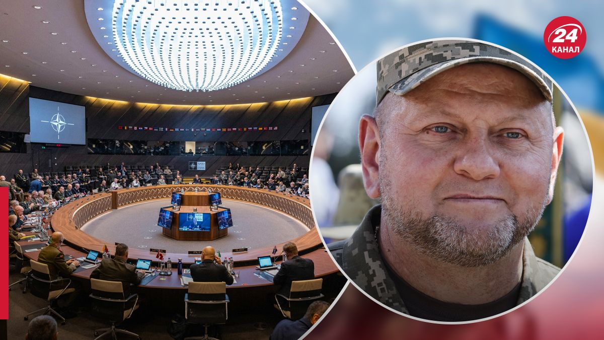 На Раді Україна – НАТО нашу державу представляв не Залужний На Раді Україна – НАТО нашу державу представляв не Залужний