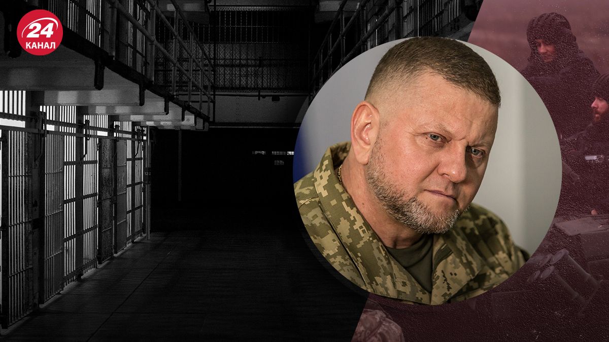 Лубинец о мобилизации из колоний - 24 Канал Лубинец о мобилизации из колоний - 24 Канал