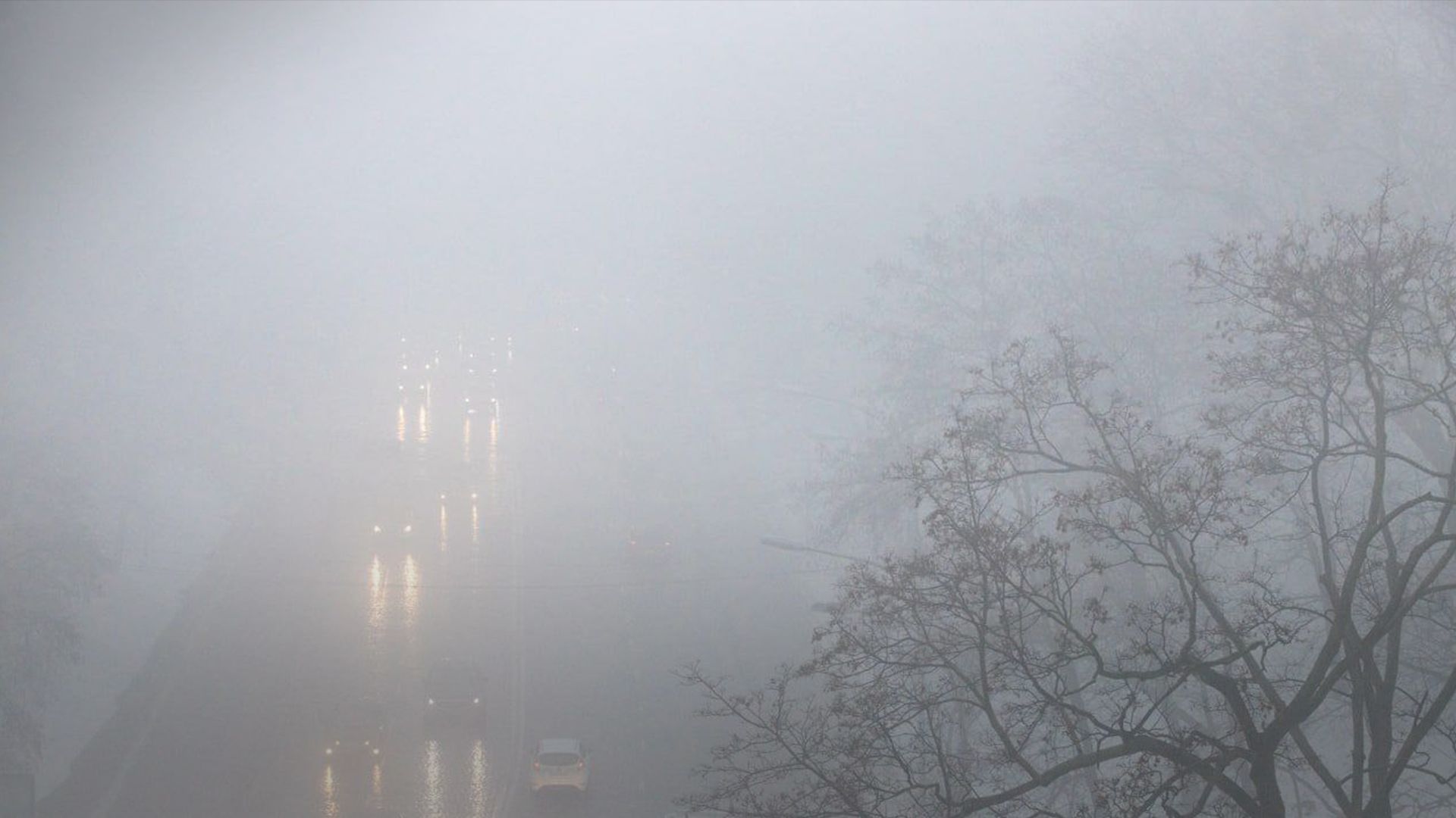 В Киеве туман - 24 Канал