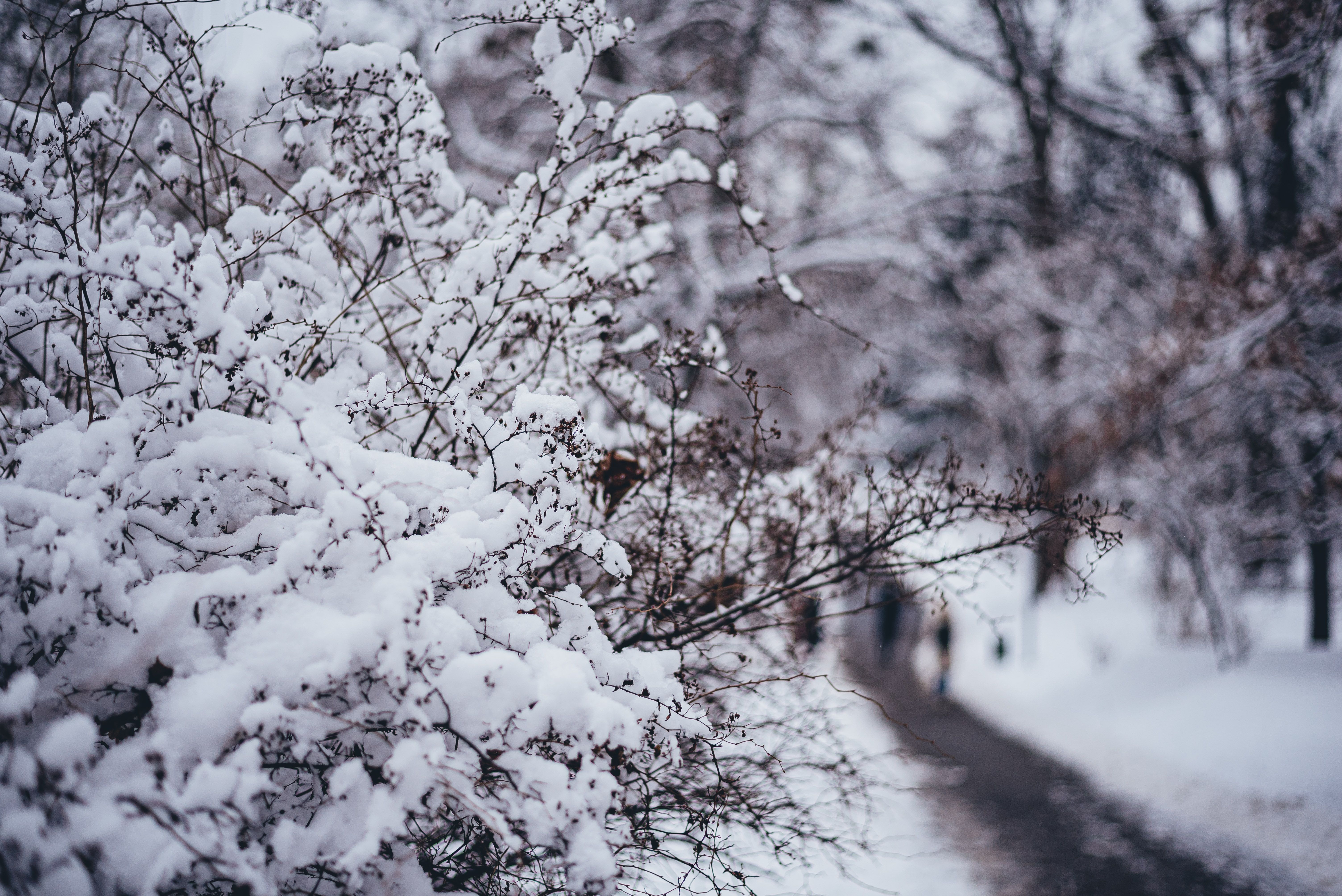 Прогноз погоди на вихідні - 24 Канал Прогноз погоди на вихідні - 24 Канал