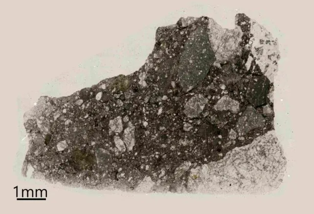 Образец, который исследовали ученые Образец, который исследовали ученые