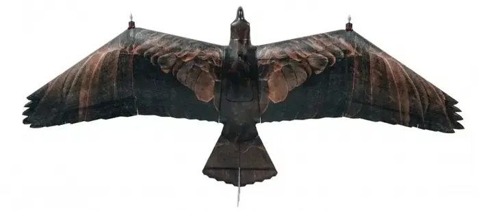 Evolution Eagle Evolution Eagle