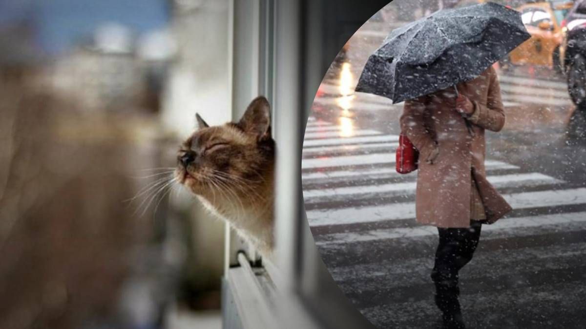 Прогноз погоди на 23 січня Прогноз погоди на 23 січня