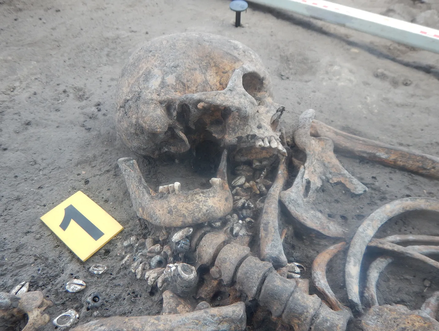 Одне з поховань, знайдених на кладовищі Одне з поховань, знайдених на кладовищі