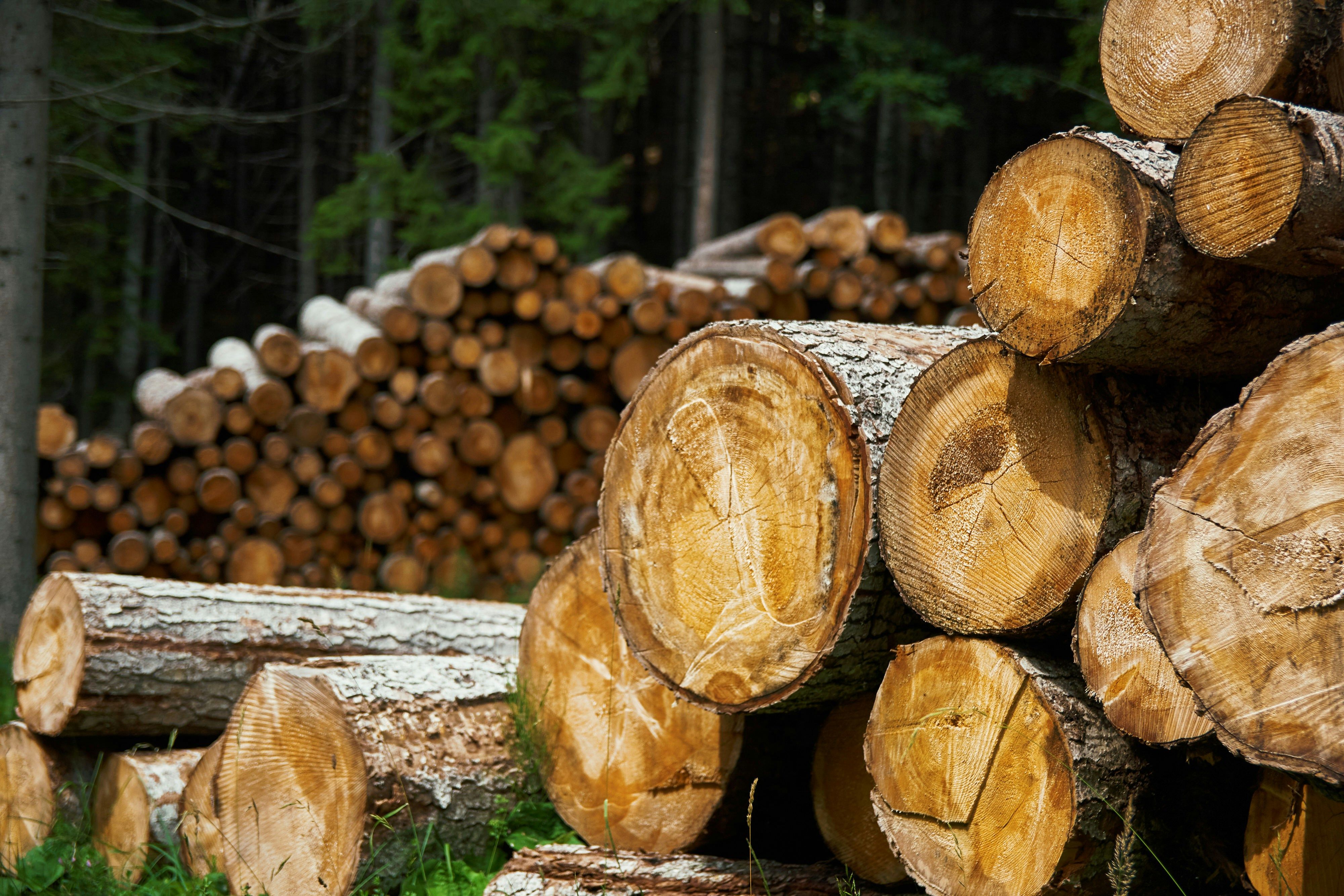 Компенсация расходов на дрова