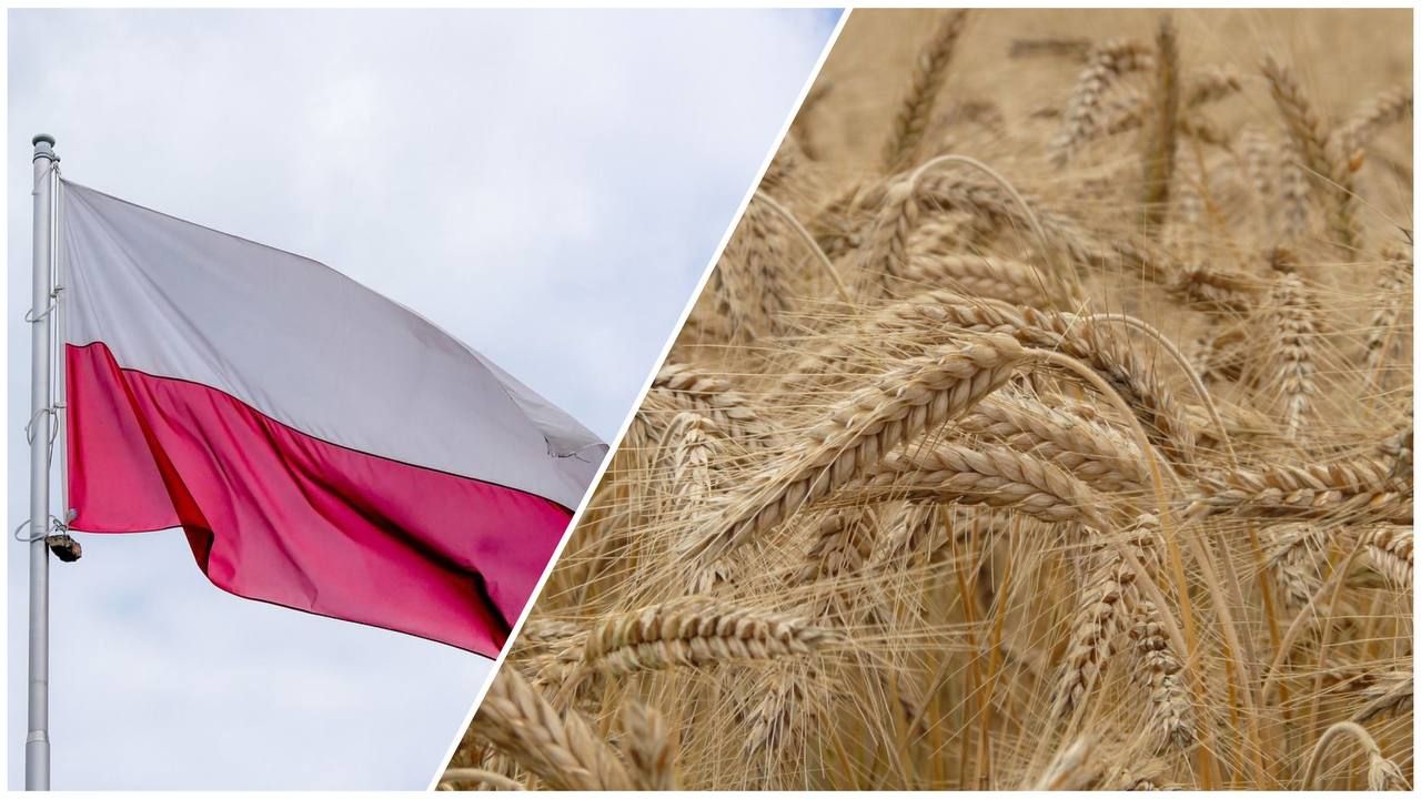 Польща хоче регулювати експорт товарів з України 