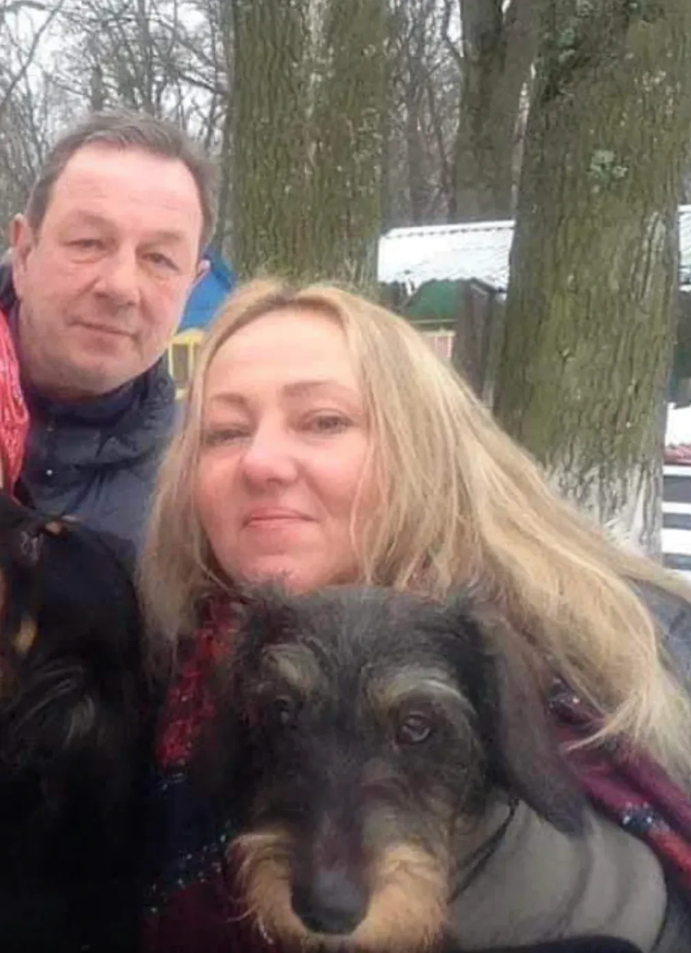 в Одесі загинули 2 собаки