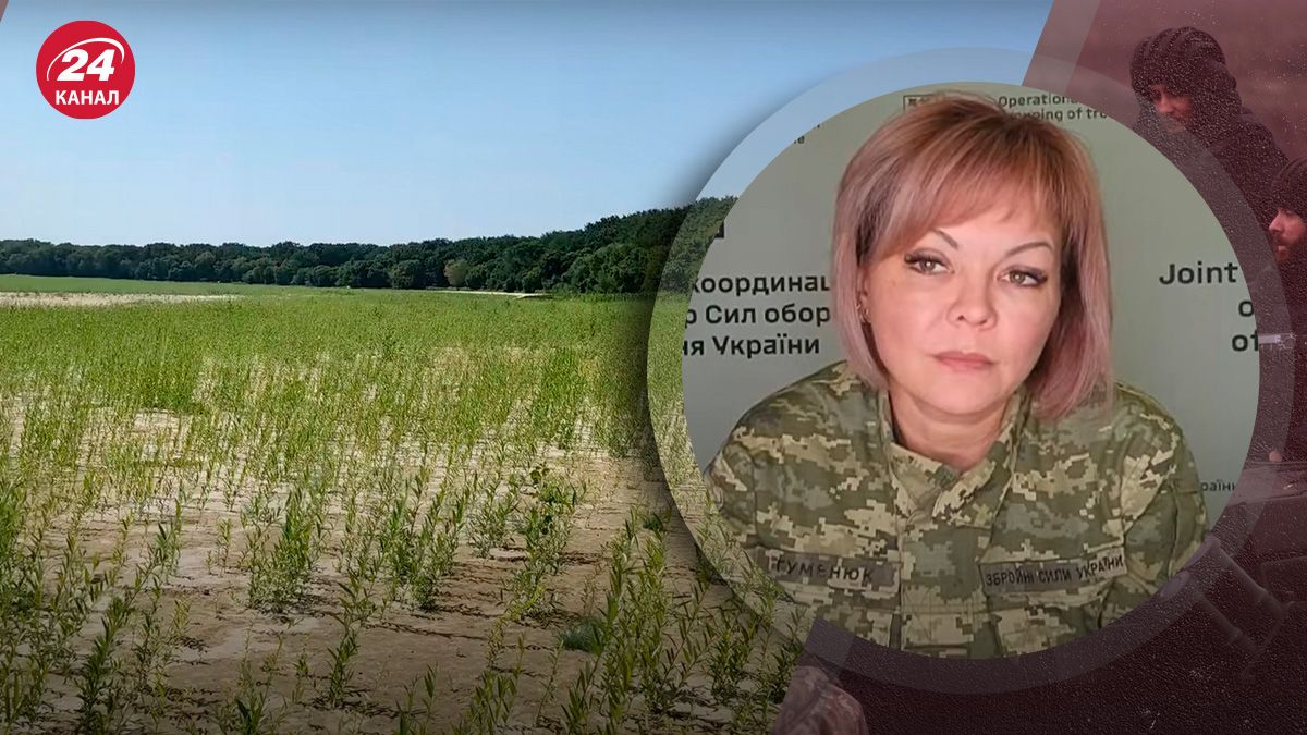 Что россияне делают с украинскими заповедниками Что россияне делают с украинскими заповедниками