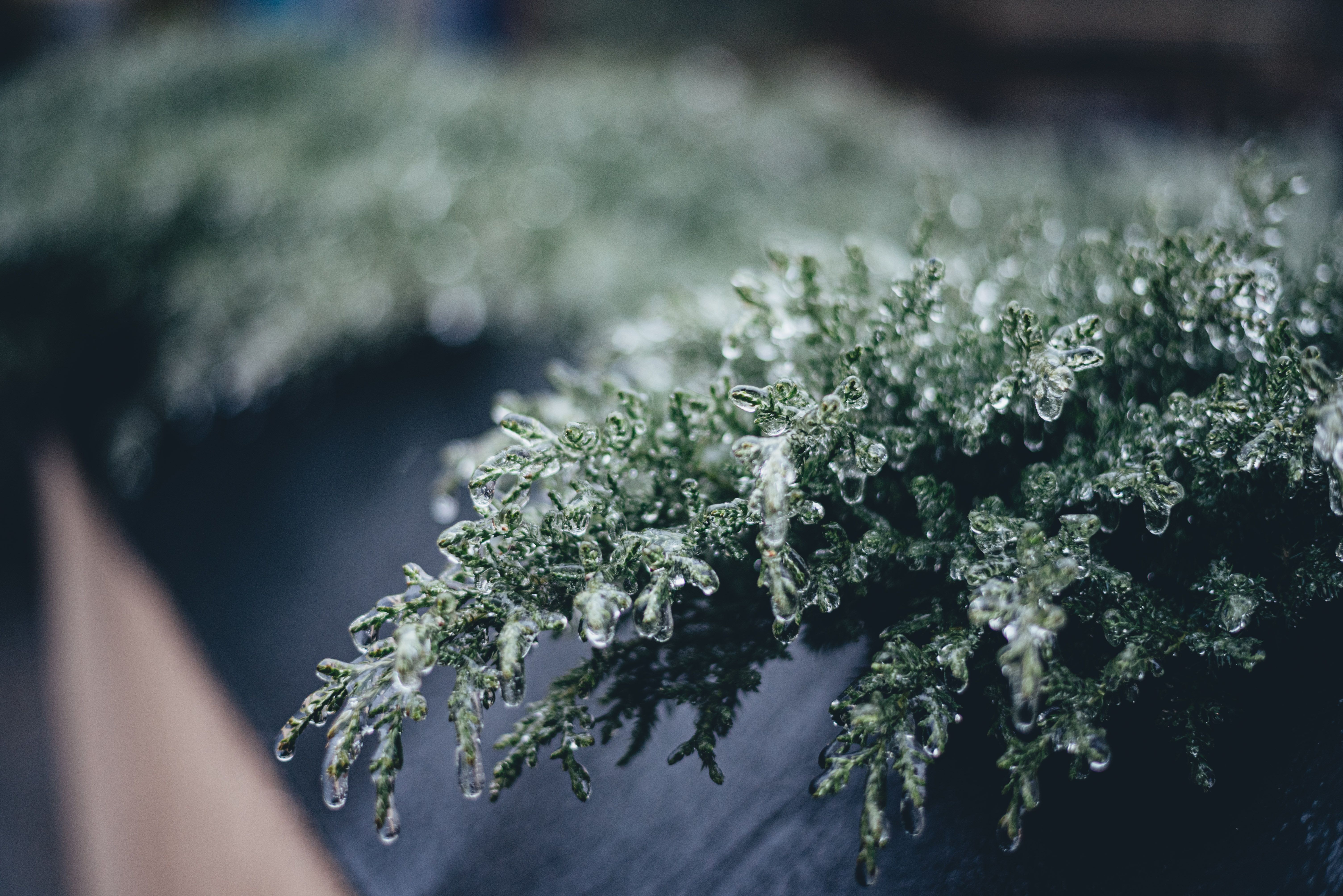 Морозы в Украине - 24 Канал Морозы в Украине - 24 Канал