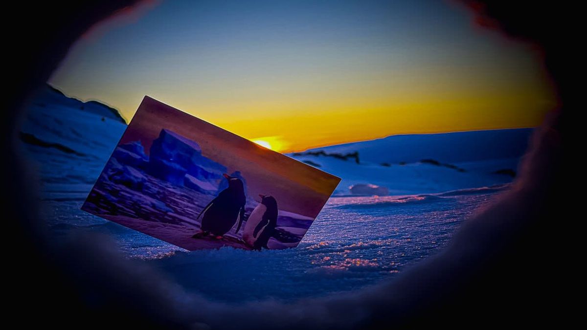 Ученые НАНЦ показали снежные пончики – это очень оригинальное природное явление Ученые НАНЦ показали снежные пончики – это очень оригинальное природное явление