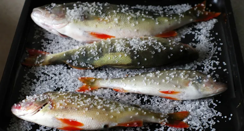 Елементарний лайфхак, який переверне ваше життя: як швидко почистити окуня Елементарний лайфхак, який переверне ваше життя: як швидко почистити окуня