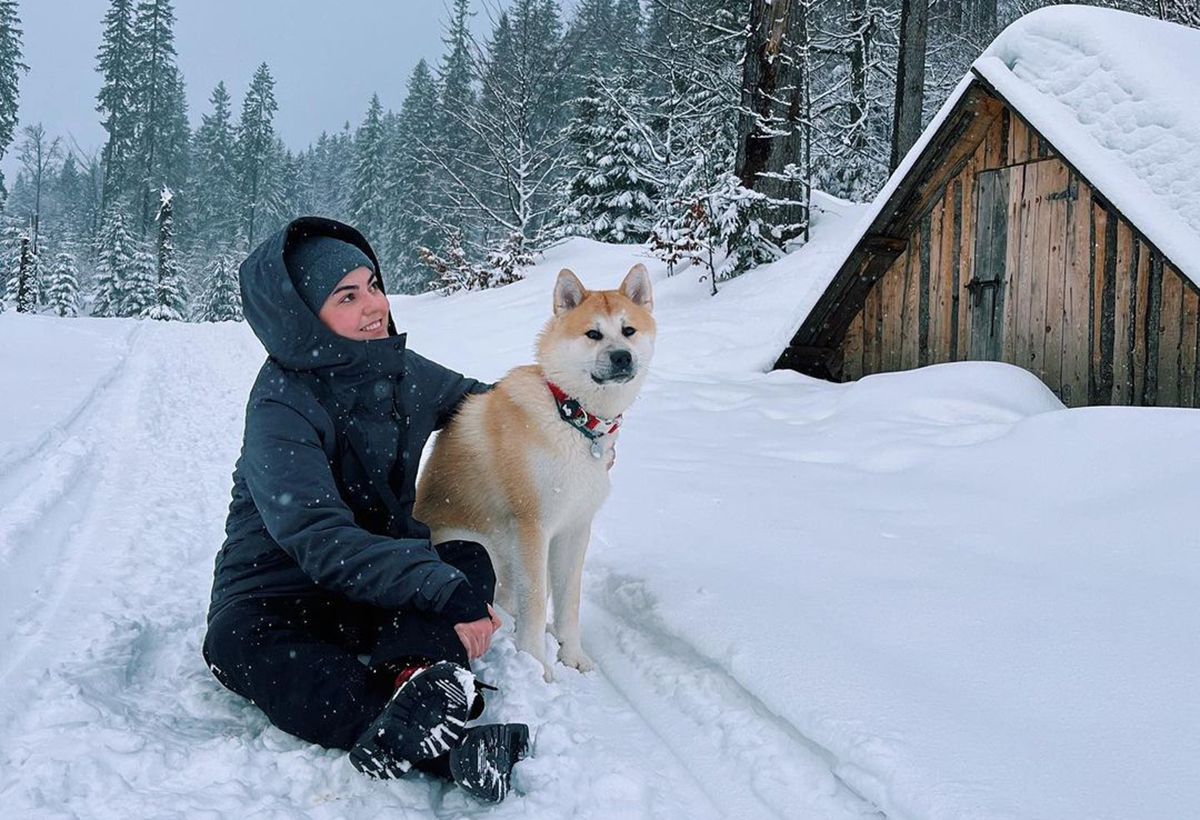 Аліна Михайлова розповіла про ситуацію, як дитина хотіла погладити її собаку Аліна Михайлова розповіла про ситуацію, як дитина хотіла погладити її собаку