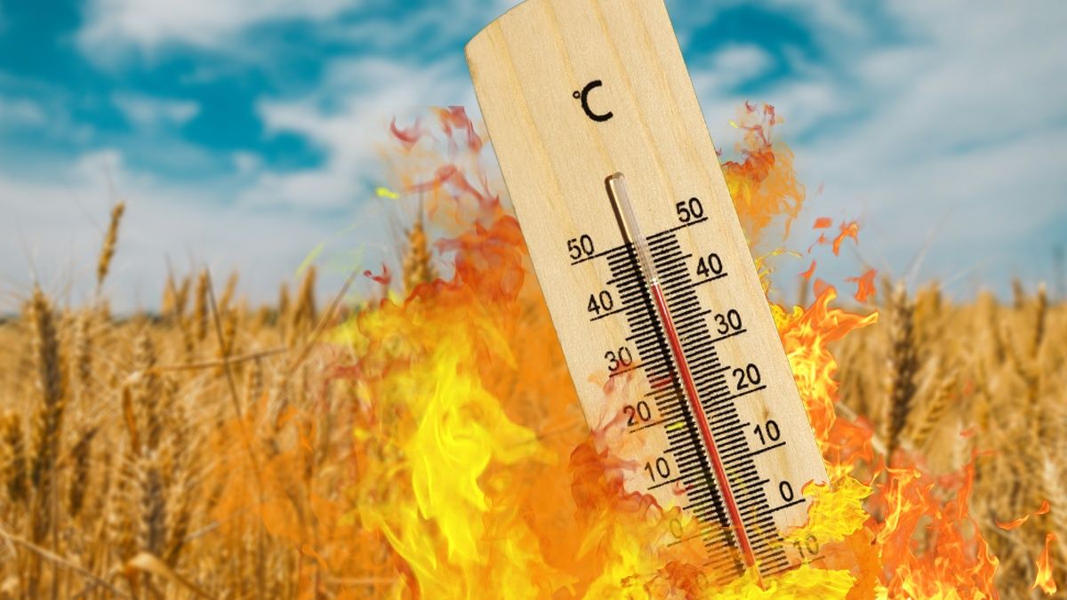 It will be hot: How many degrees will it warm up in Ukraine by 2050 and 2100 It will be hot: How many degrees will it warm up in Ukraine by 2050 and 2100