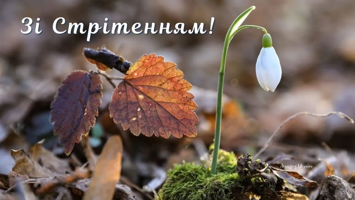 Сретение Господне 2024 Сретение Господне 2024