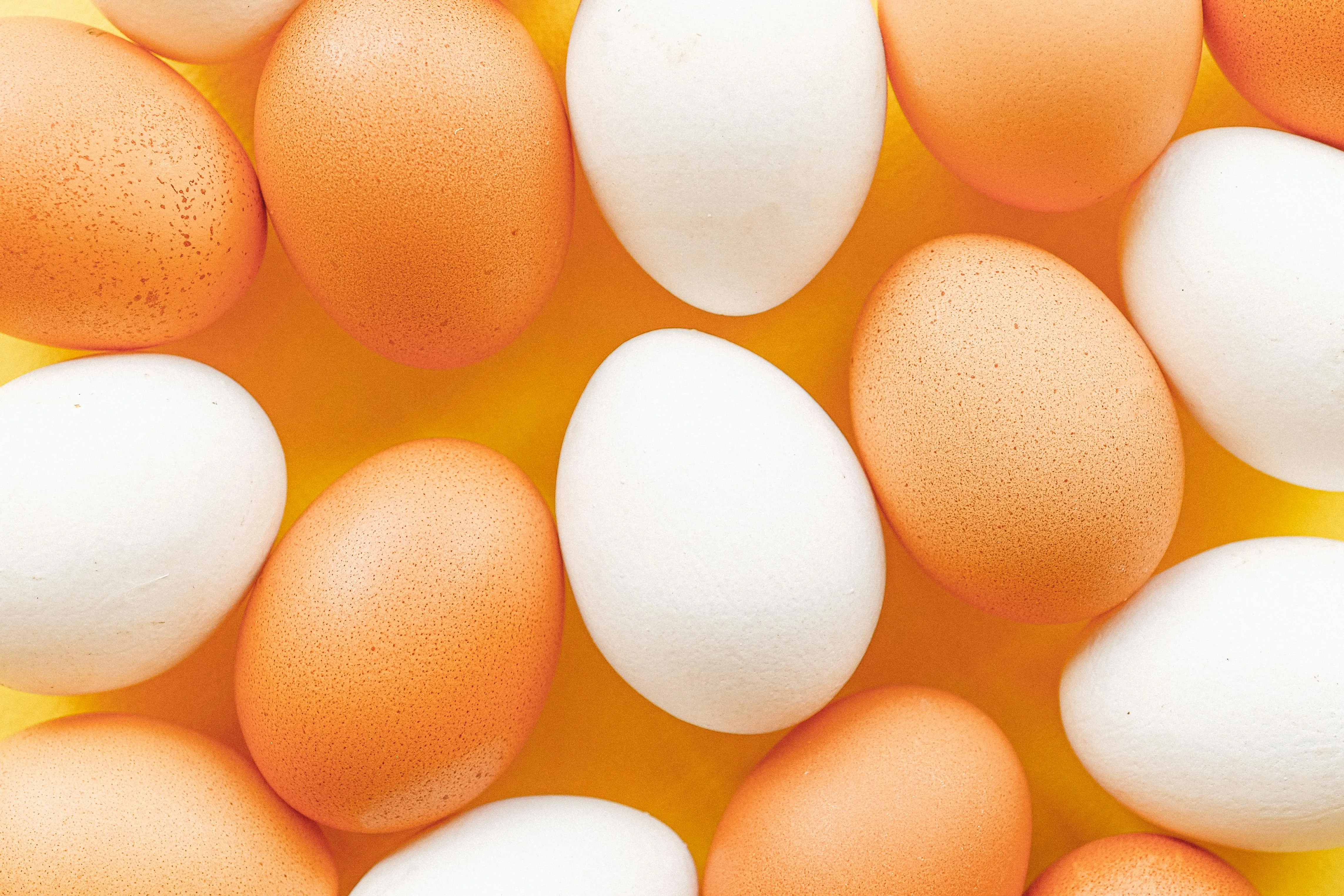 В чем разница между коричневыми и белыми яйцами