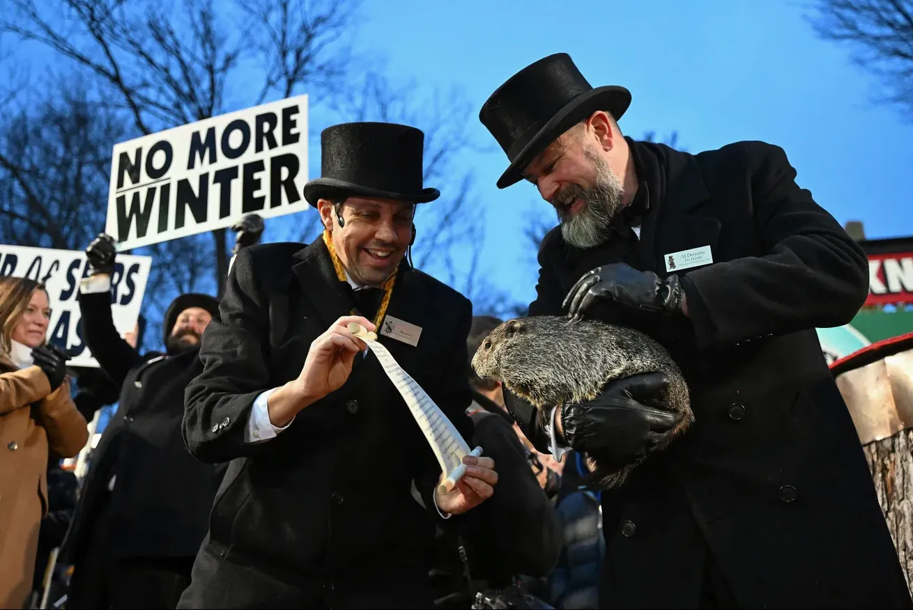 Американский сурок Фил Американский сурок Фил