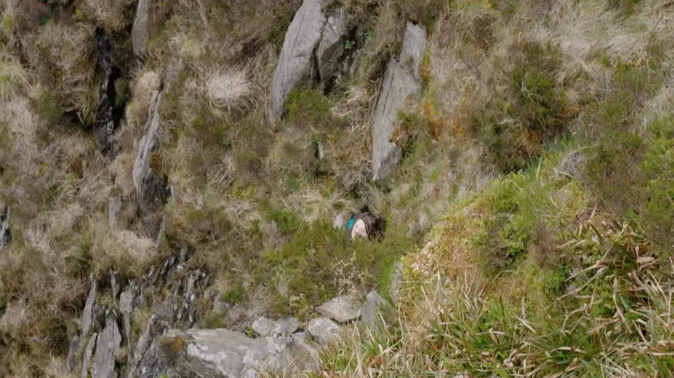 В Уэльсе Китти Харрисон 7 часов снимали с горы Трифан В Уэльсе Китти Харрисон 7 часов снимали с горы Трифан