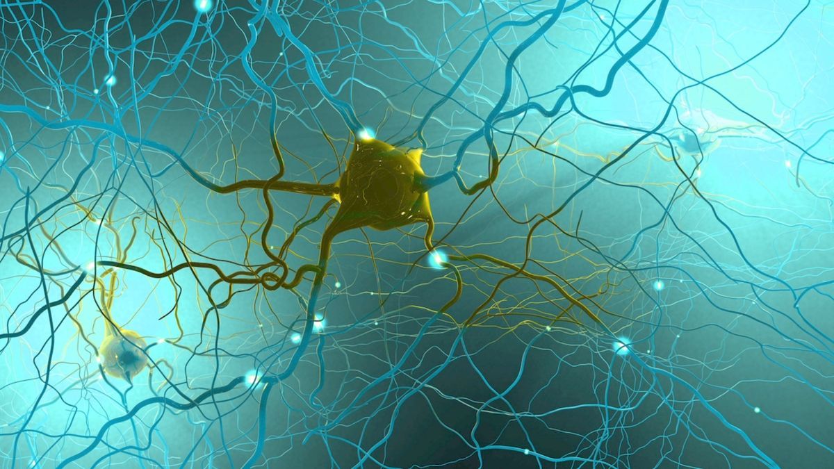 Иллюстративное фото Иллюстративное фото