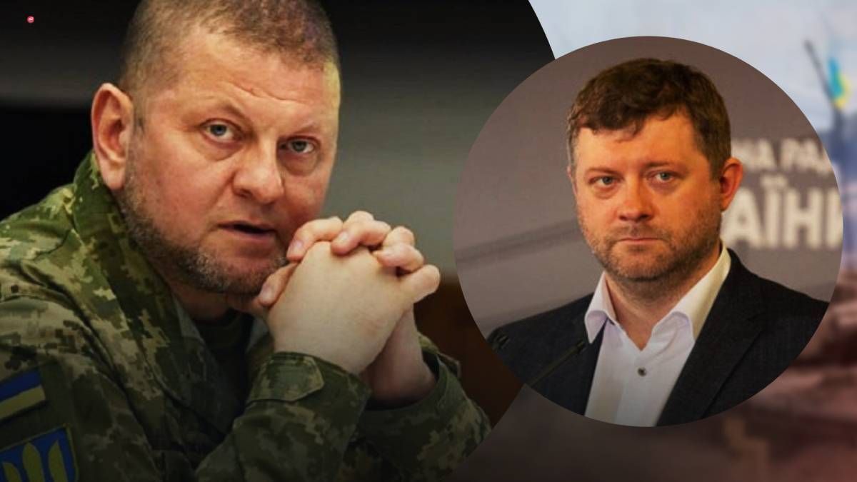 В Раде прокомментировали вероятную отставку Залужного В Раде прокомментировали вероятную отставку Залужного