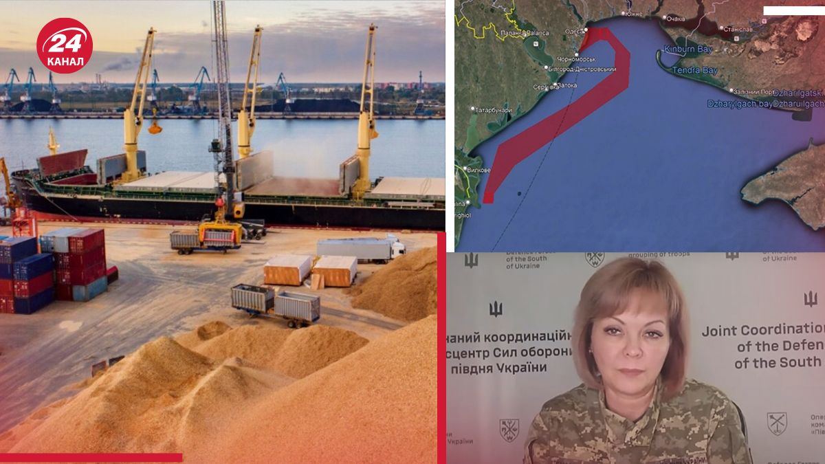 Как россияне препятствуют зерновому коридору в Черном море - Гуменюк ответила - 24 Канал